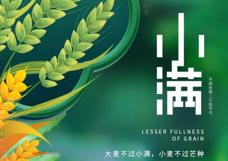 【小满】麦芒之上，等候圆满。