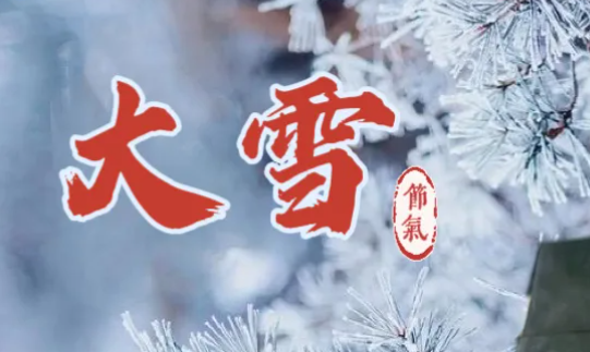 【大雪】大雪至万物藏 愿君流年无恙